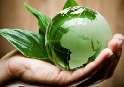 Green Rubber: “Rischi ambientali e tutele assicurative”
